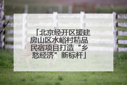 北京经开区援建房山区水峪村精品民宿项目打造“乡愁经济”新标杆